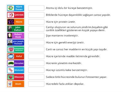 Fen Bilimleri 7. Sınıf 2. Ünite