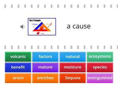 Forest Fires   Find the Match   (DIBELS ORF 6.5)                        HOZ