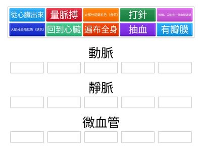 血管(by Sherhui001)