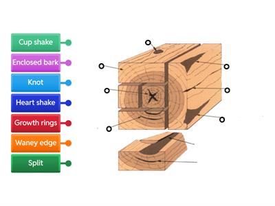 Timber tech diagram