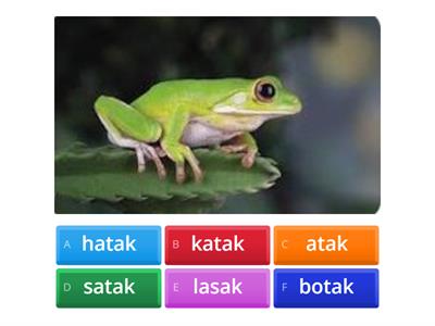 BELAJAR perkataan bahasa MELAYU