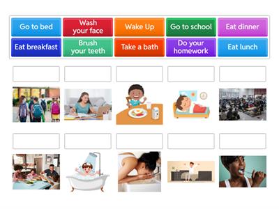 Daily Routines - Newcomer