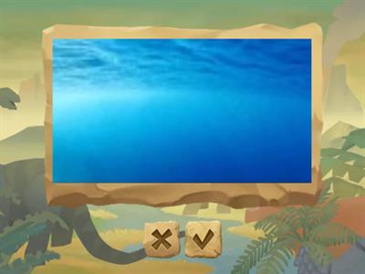 Guess The Geographic Features (A1-A2 | Vocabulary) 