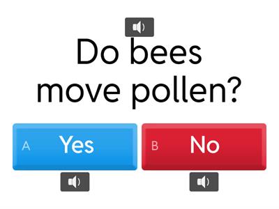 Questions about Bees with two answer choices