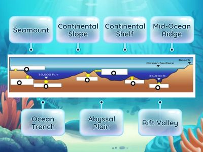 Seafloor Features