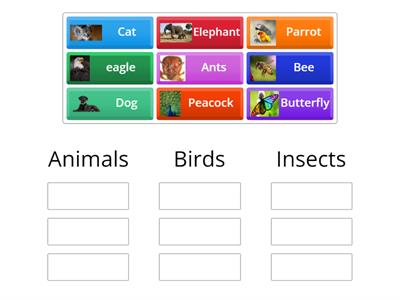 Sorting Animals