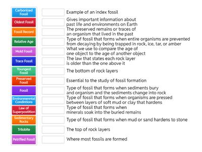 Fossil 8th Grade Science