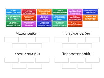 Вищі спорові рослини