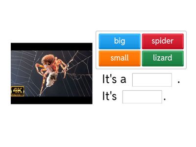 START - UNIT 7 - VOCAB 3
