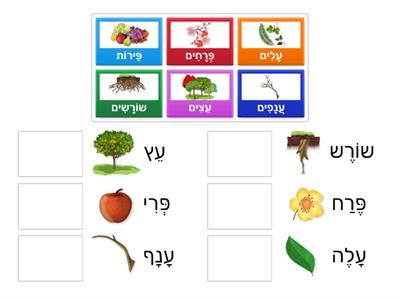   אֵיךְ אוֹמְרִים בְּרַבִּים? טו בשבט