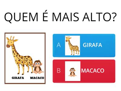 CONCEITO ALTO E BAIXO