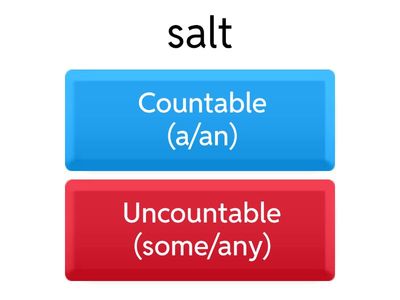  Countable and uncountable nouns 5th Grade SK Unit 3