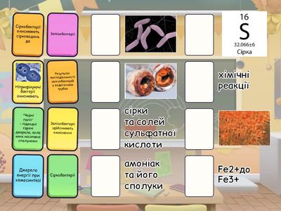 Хемосинтез ( 9 клас)