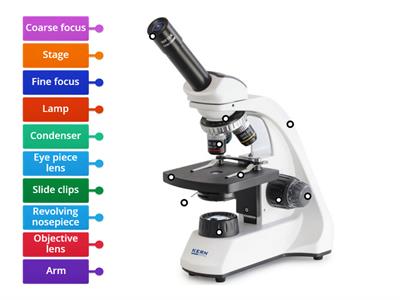 9-1 The light microscope