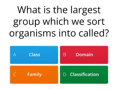 Classification  Year 6