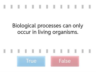 Science and technology: facts matching