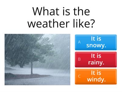 What is the weather like?