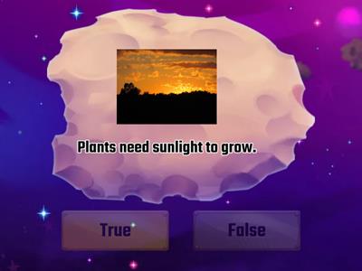 What do plants need to stay alive?