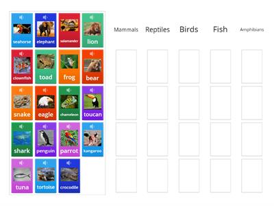 Animal Classification