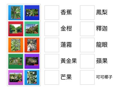 2.--果樹(香蕉-龍眼)