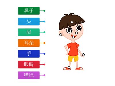 身体与五官 （简体字）