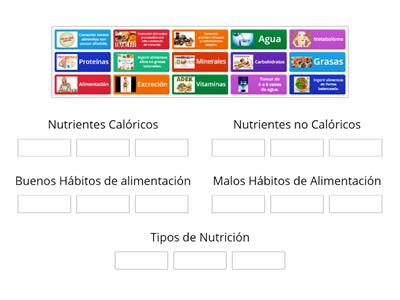 Nutrientes y Buenos Hábitos de Alimentación