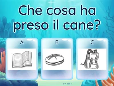 Che sorpresa! - Comprensione del testo 