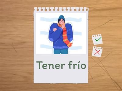 Expressions with Tener: Exo 1