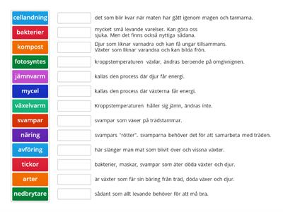 Den levande planeten 