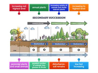 Day 12 🔷 Secondary Succession