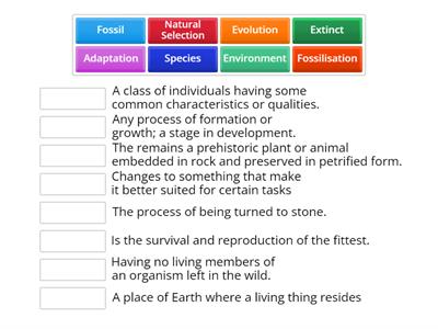 Evolution and Inheritance