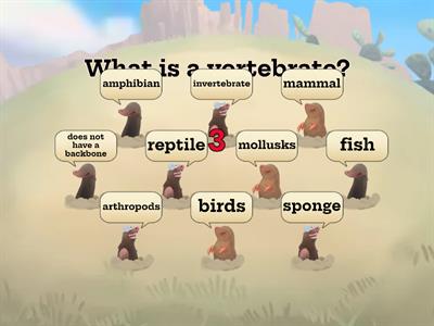 Vertebrates