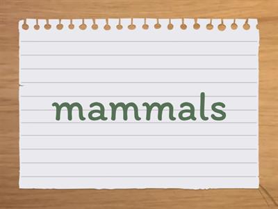 Pr2 EAC Animal classification