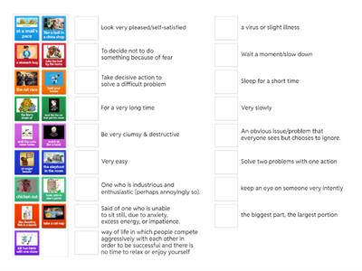 Animal Idioms C1 Advanced