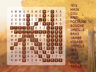 Les parties du corps (débutant)