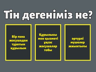 Гистология 