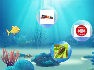 Rybka głoska [c] nagłos