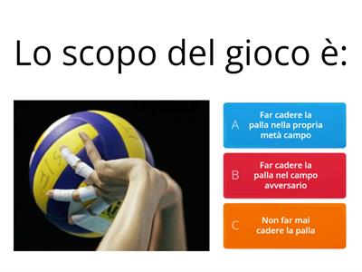 Pallavolo