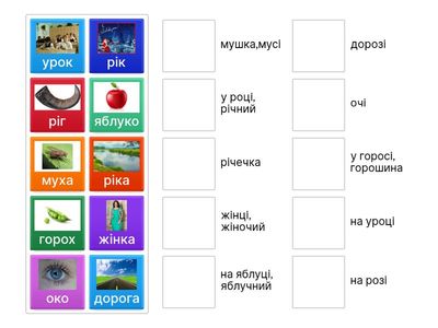 Чергування приголосних у коренях слів 