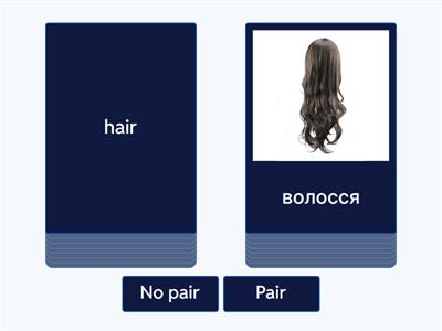 Hair (GG1, Unit 4.1)