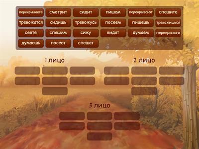 Лицо глагола