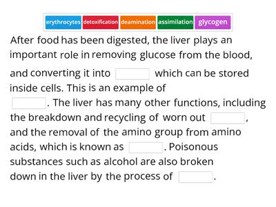 Anatomy and Physiology LO3 Digestive System 