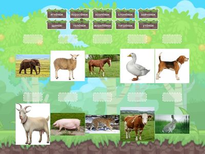 Найди маму для малышей