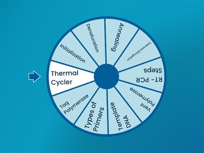 Understanding the PCR