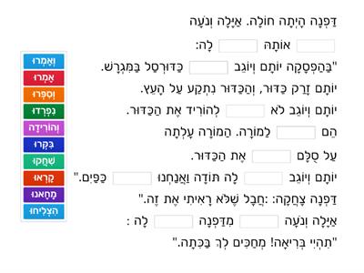 השלמת משפטים