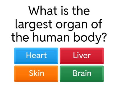 Skin and Its Accessories