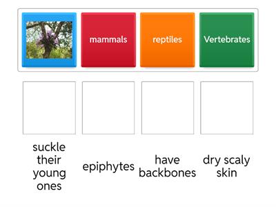  CLASS SIX SCIENCE ACTIVITY