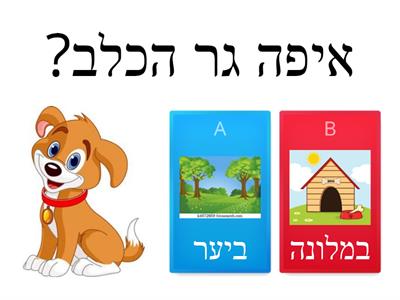 עותק של איפה גרות החיות?