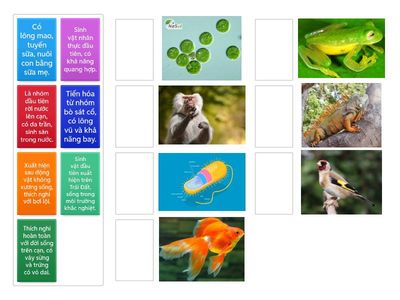 Hành trình tiến hóa