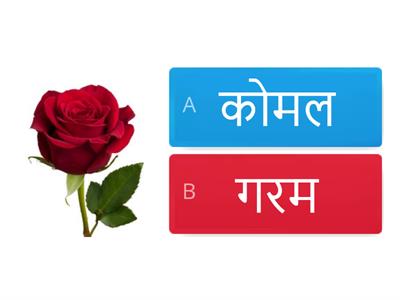 visheshan hindi class 2 